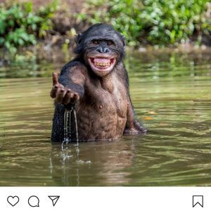 Meet your Posher, Melvin